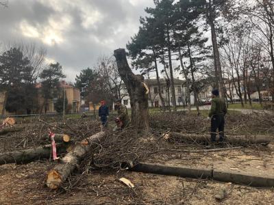 Прикрепленное изображение: 3.jpg